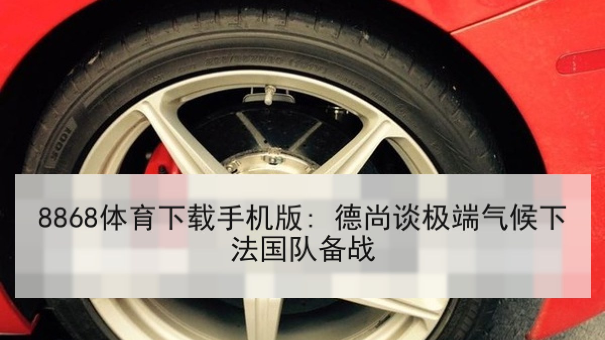 8868体育下载手机版: 德尚谈极端气候下法国队备战