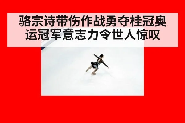 骆宗诗带伤作战勇夺桂冠奥运冠军意志力令世人惊叹