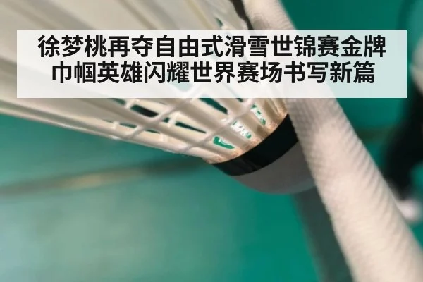 徐梦桃再夺自由式滑雪世锦赛金牌巾帼英雄闪耀世界赛场书写新篇